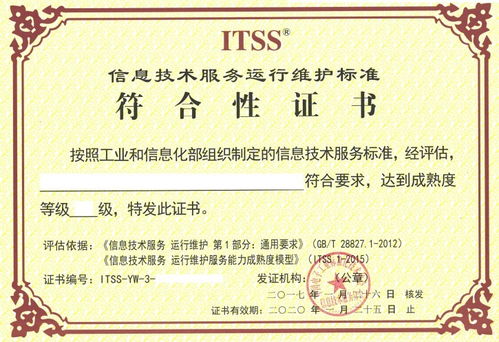 山东省临沂市ITSS信息技术服务运行维护标准